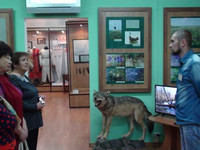 Экскурсия в Вейделевский краеведческий музей